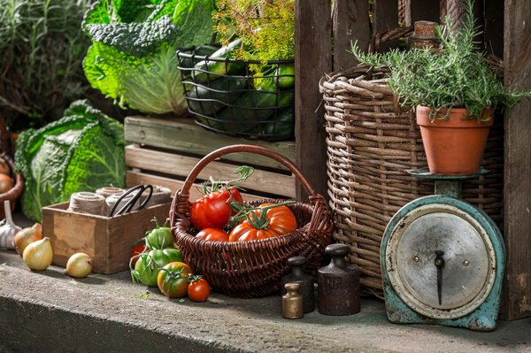 Où participer à un festival de danse traditionnelle en Amérique du Sud ?
